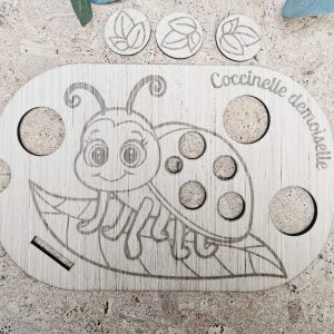 Coccinelle demoiselle