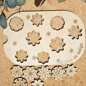 Les flocons de neige