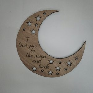 To the Moon and back