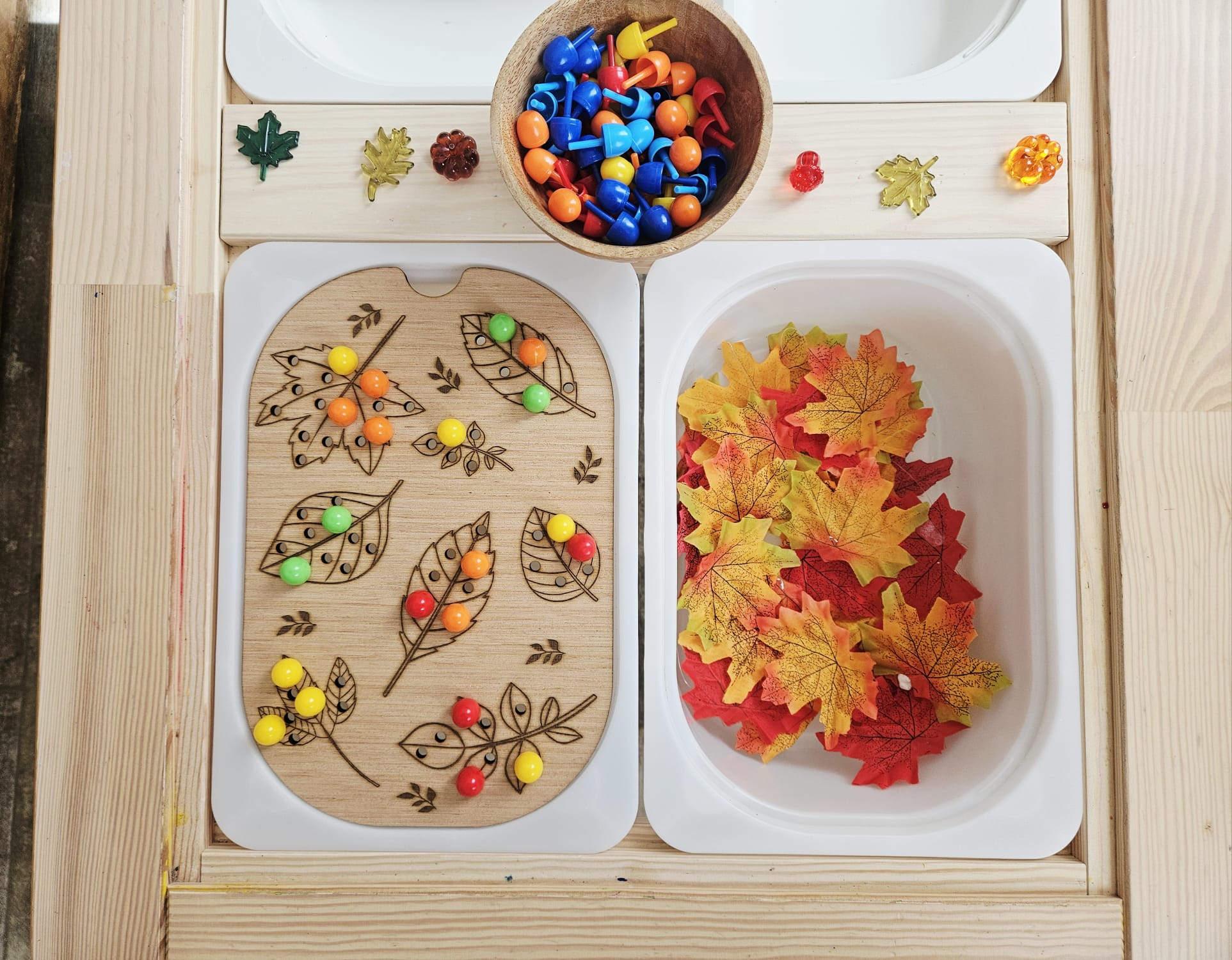 Feuilles picots – Image 20