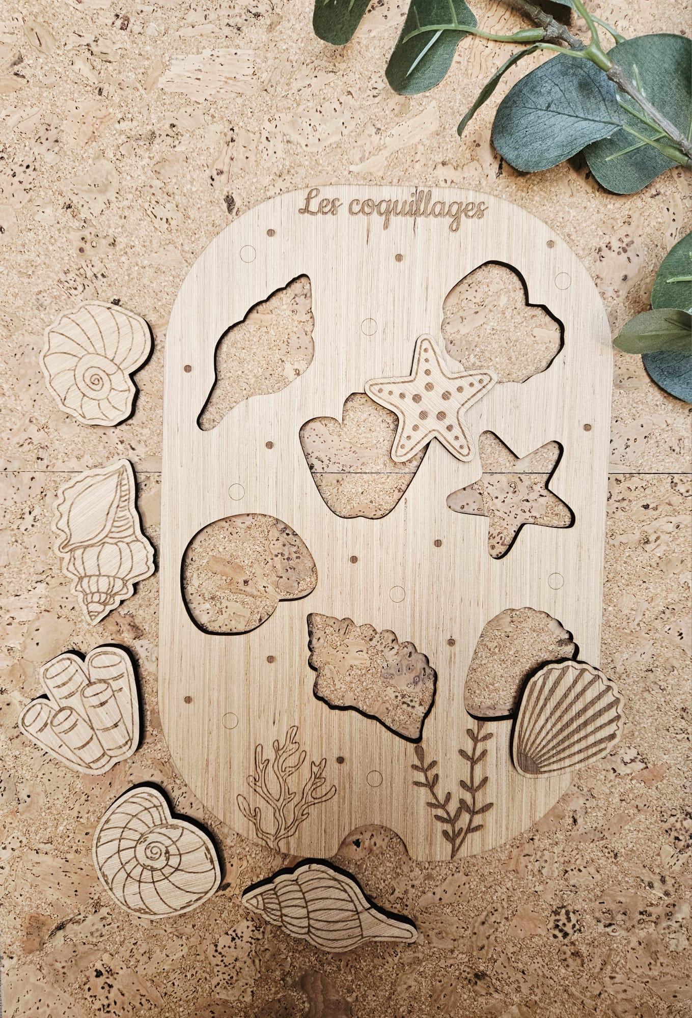 Les coquillages